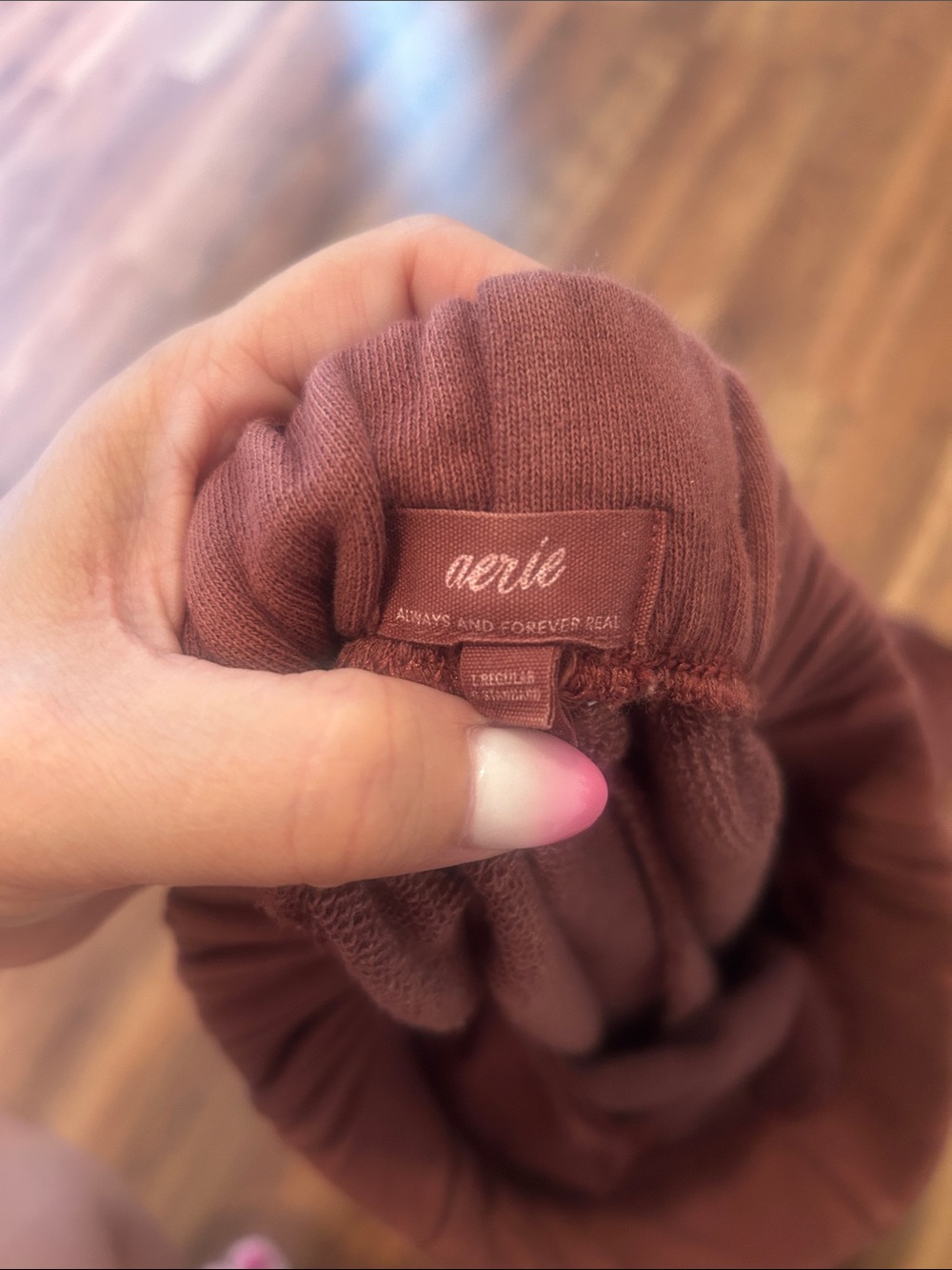 Aerie Street Trouser Sweats in Rust - Picture 3 of 3